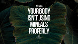 Is Your Body Actually Using Minerals Properly? Here’s What to Know