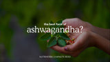 What is the best form of ashwagandha to buy?