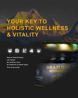 Shilajit Resin Ashwagold - SPECIAL OFFER